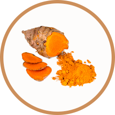 Scientific Evidence Document: Turmeric's Potent Health Benefits