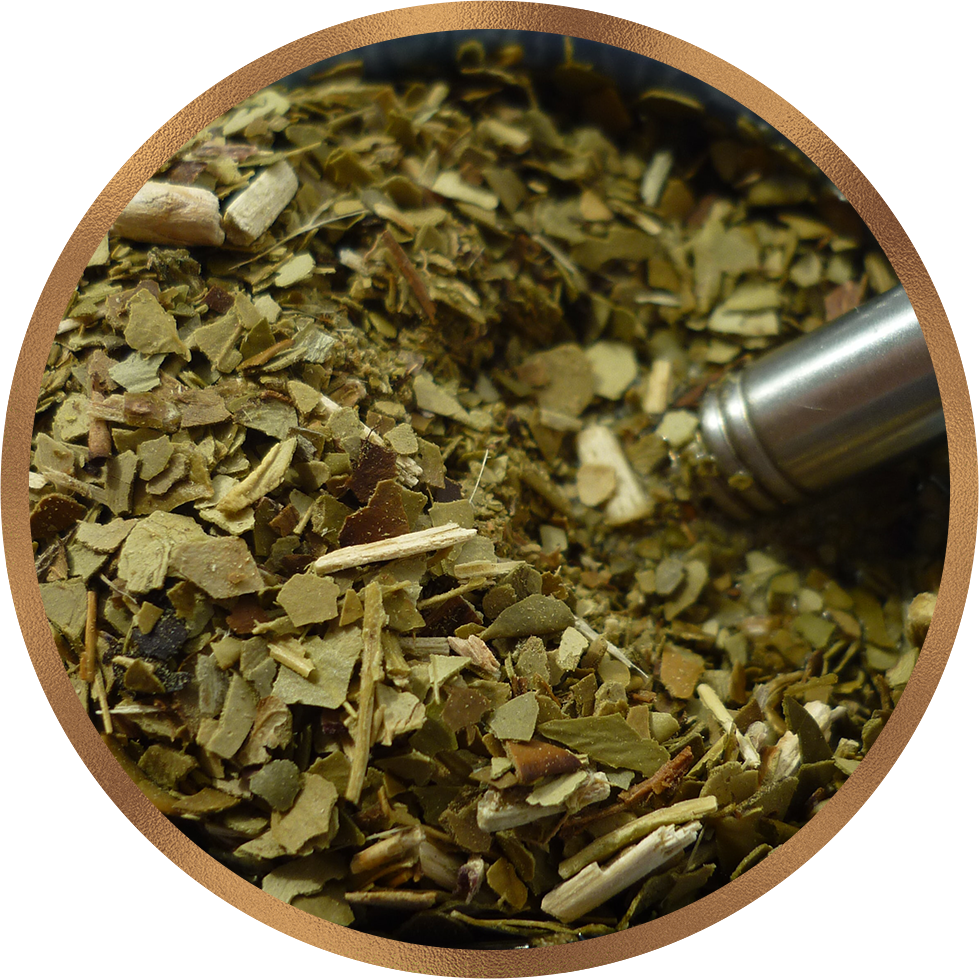 Scientific Evidence on Yerba Mate's Effectiveness in Increasing Energy Levels and Reducing Reliance on Body Fat for Fuel during Exercise