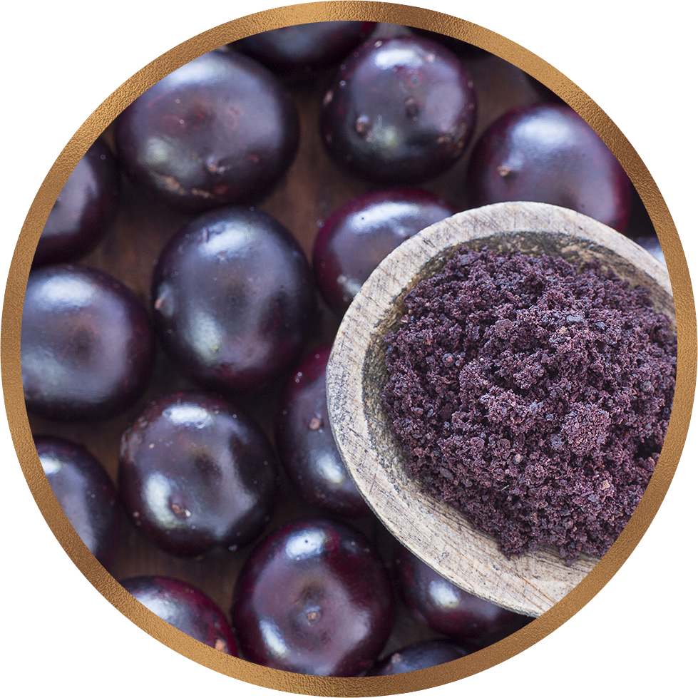 Scientific Proof Document: Acai Berry - Amazon's Most Famous Superfood