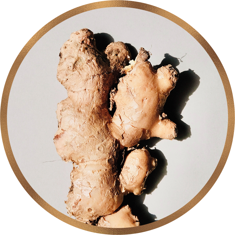 The Nutritional and Therapeutic Properties of Ginger: A Comprehensive Scientific Review