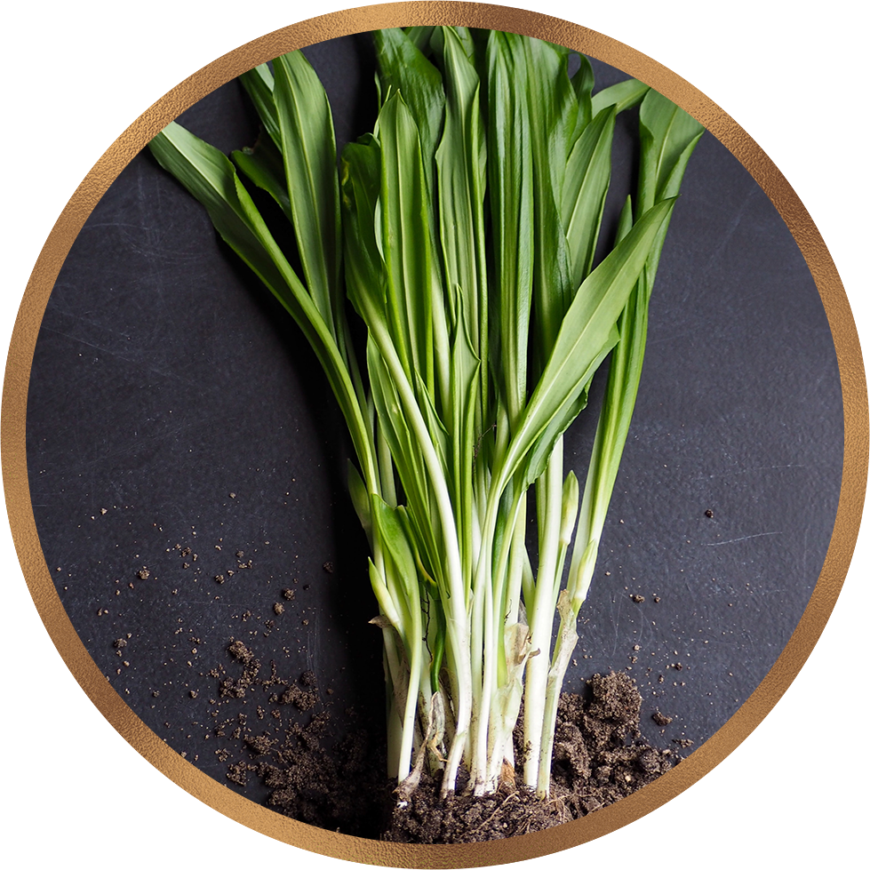 Scientific Proof Document: Lemongrass as a Source of Inflammation-Fighting Compounds and Kidney-Stimulating Properties