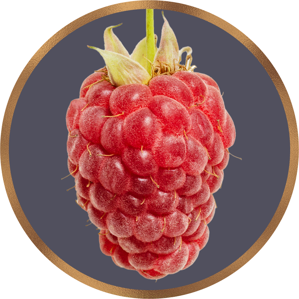 Scientific Evidence Supporting the Nutritional and Therapeutic Benefits of Raspberry Leaf